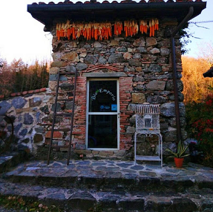 Agriturismo Paneolio Villa Collemandina Экстерьер фото