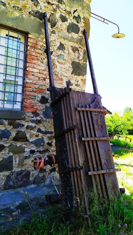 Agriturismo Paneolio Villa Collemandina Экстерьер фото
