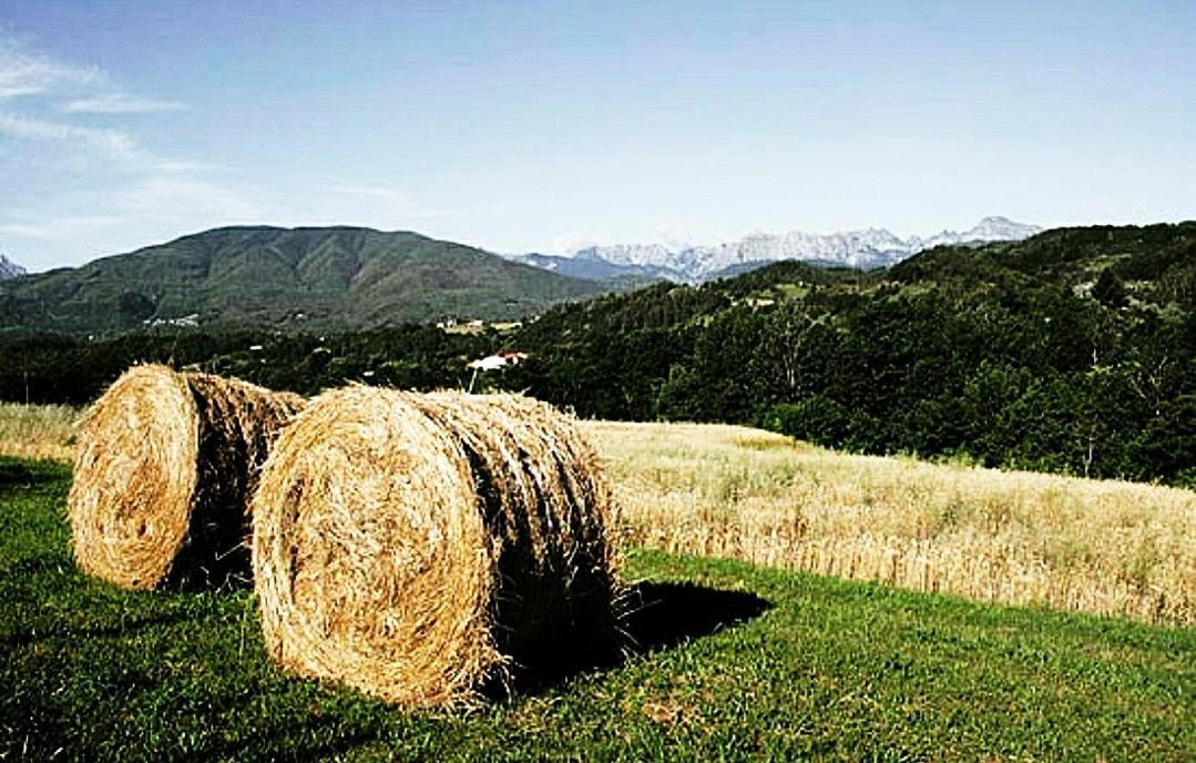 Agriturismo Paneolio Villa Collemandina Экстерьер фото