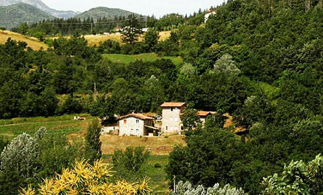 Agriturismo Paneolio Villa Collemandina Экстерьер фото