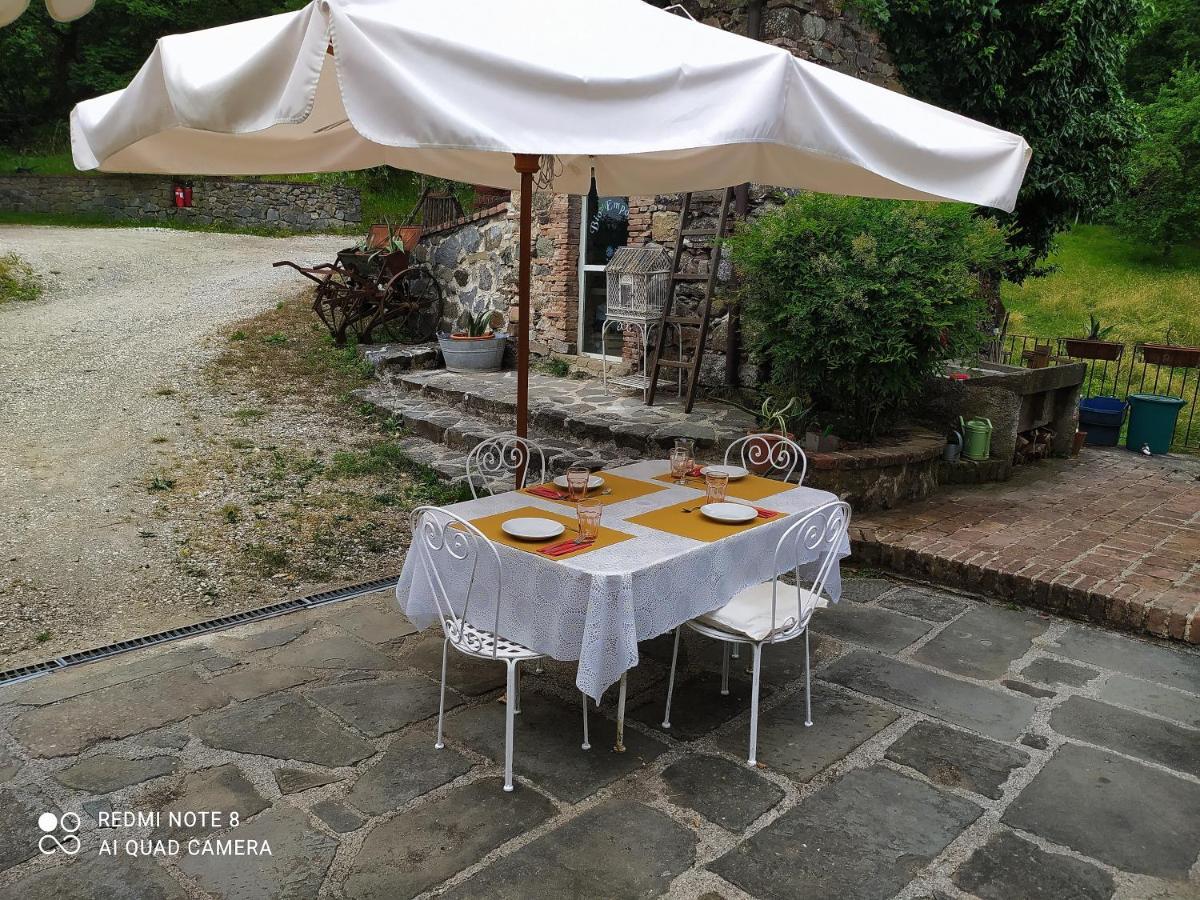 Agriturismo Paneolio Villa Collemandina Экстерьер фото