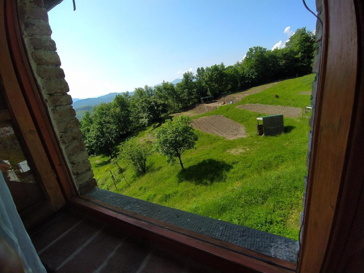 Agriturismo Paneolio Villa Collemandina Экстерьер фото